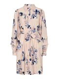YAS YASSERAKI MINIKLEID, Cameo Rose, highres - 26038367_CameoRose_1208779_001.jpg