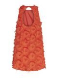 Product image thumbnail - YASDIO MINI JURK, Cherry Tomato | 7
