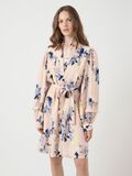 YAS YASSERAKI MINIKLEID, Cameo Rose, highres - 26038367_CameoRose_1208779_003.jpg