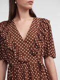 Y.A.S YASDOTTI MIDIKLEID, Tortoise Shell, highres - 26030089_TortoiseShell_1023685_006.jpg