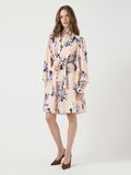 YAS YASSERAKI MINIKLEID, Cameo Rose, highres - 26038367_CameoRose_1208779_005.jpg