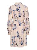 YAS YASSERAKI MINIKLEID, Cameo Rose, highres - 26038367_CameoRose_1208779_002.jpg