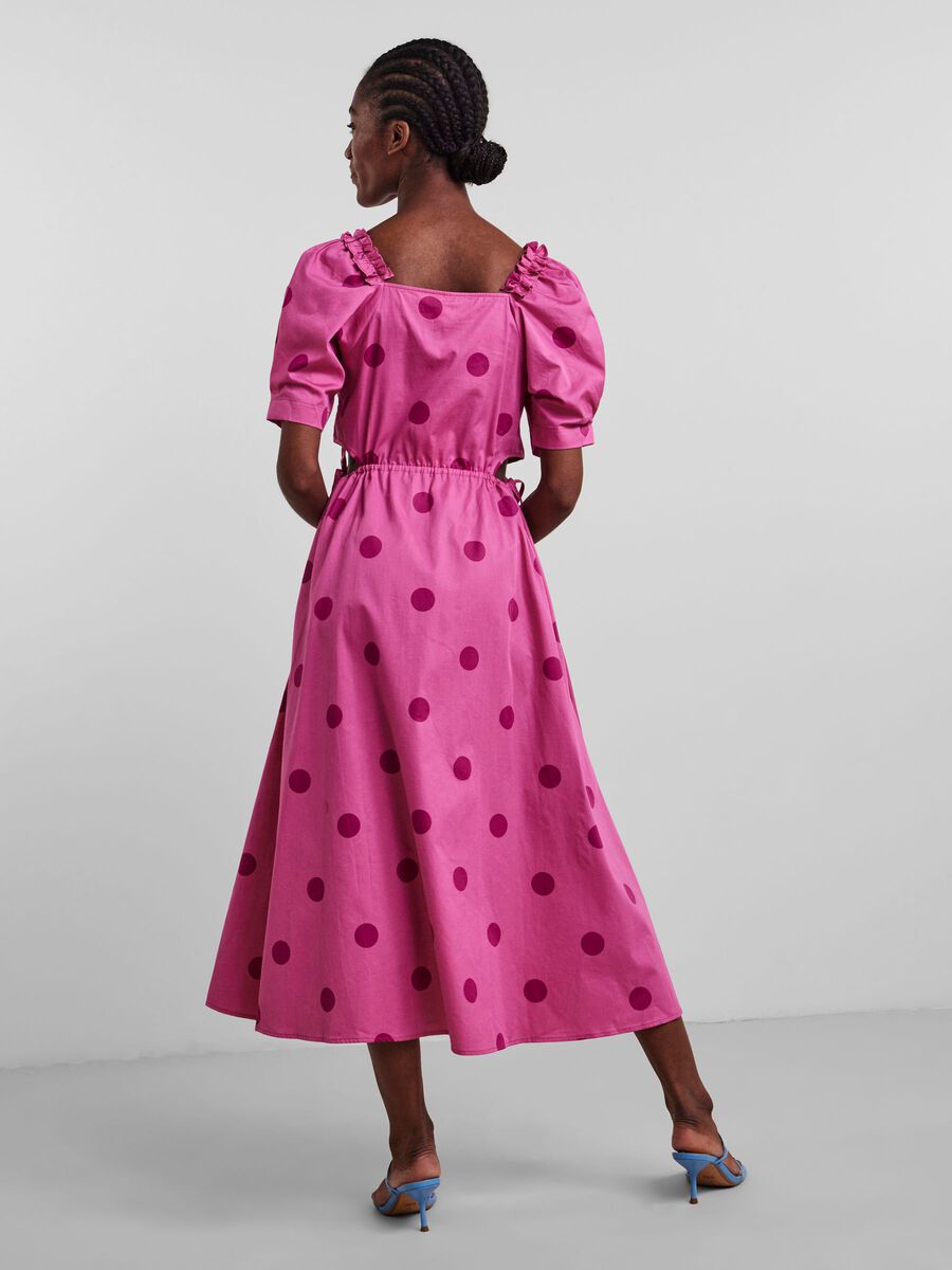 Y.A.S YASDOTTY MIDIKLEID, Ibis Rose, highres - 26026529_IbisRose_924724_004.jpg
